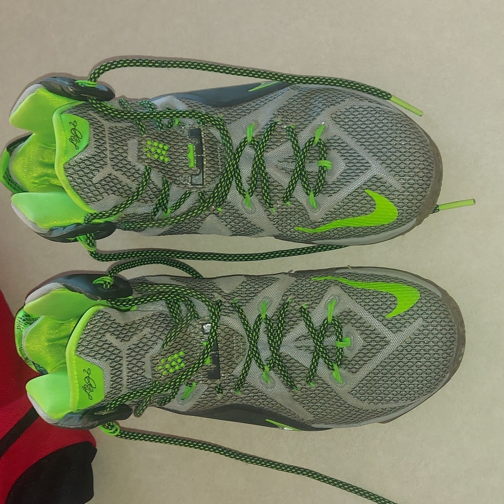 Lebron 12 Dunkman